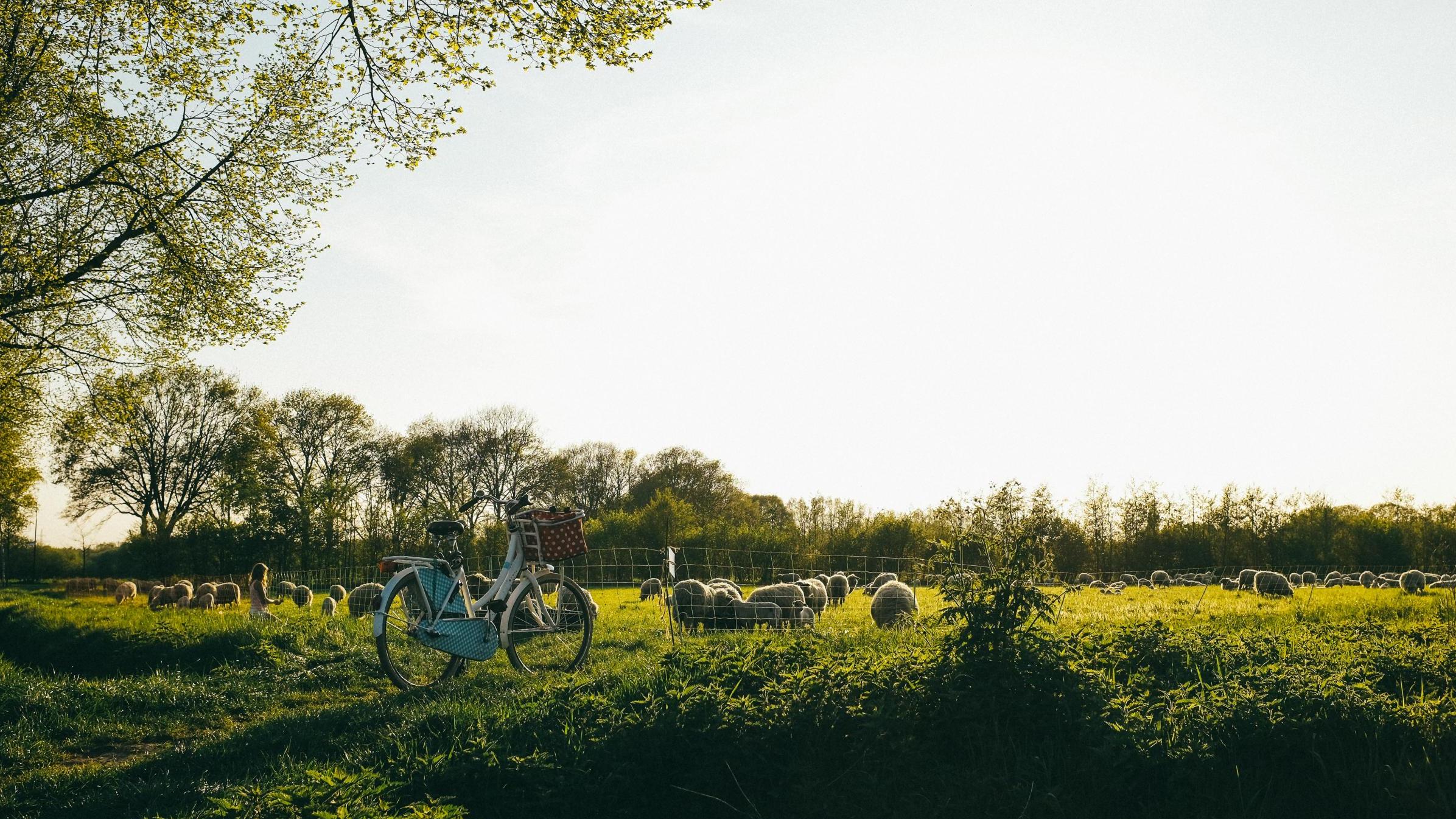 Cycling package